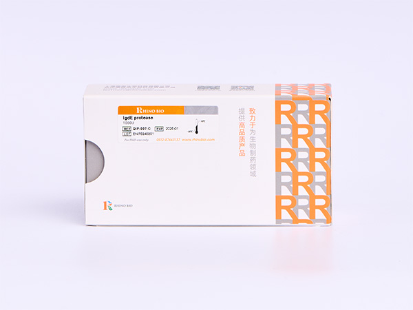 IgdE protease