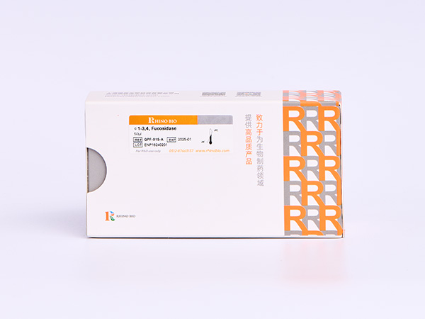 α1-3,4 Fucosidase
