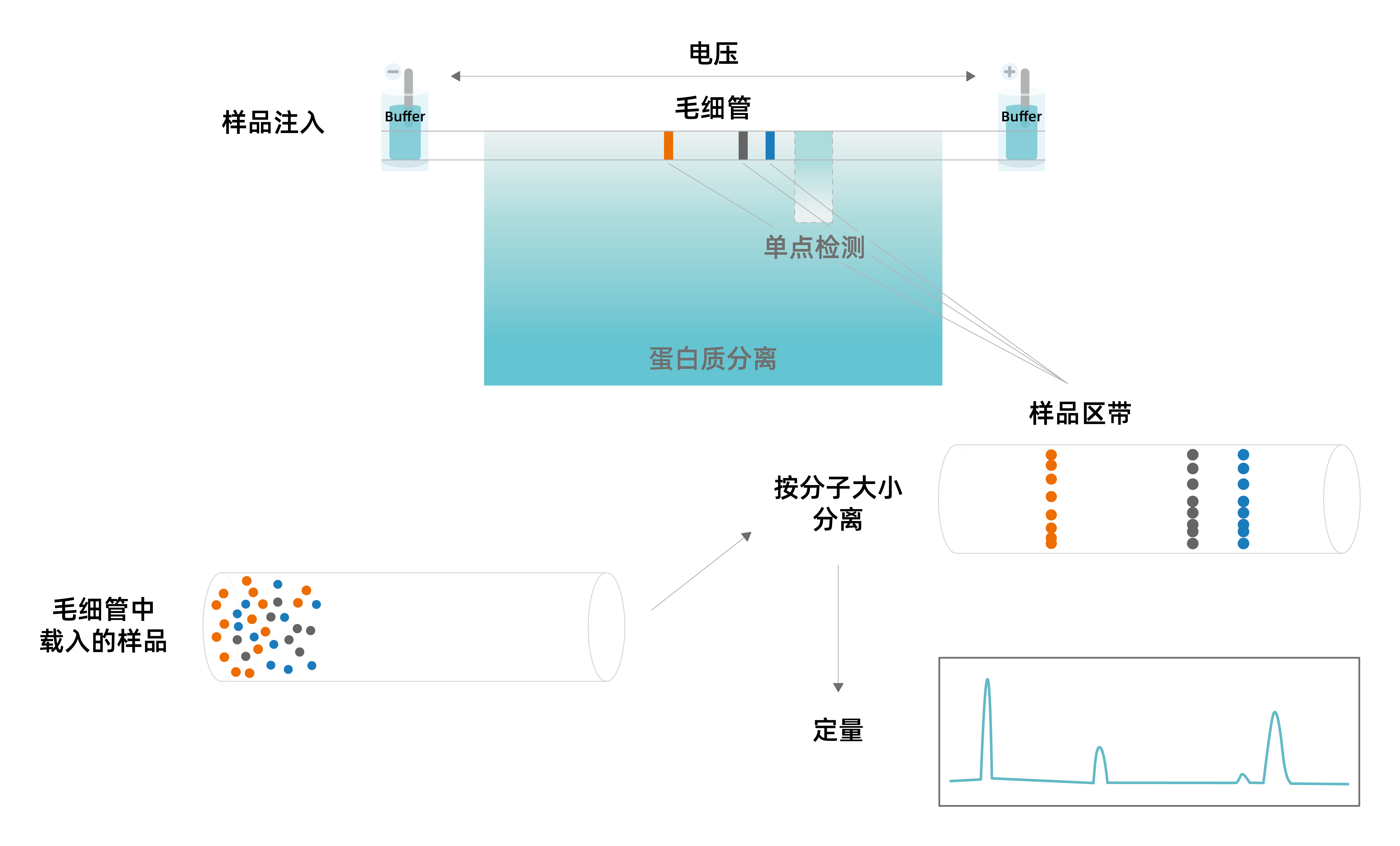 资源 33 资源 33